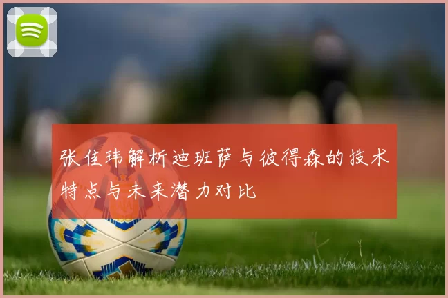 张佳玮解析迪班萨与彼得森的技术特点与未来潜力对比